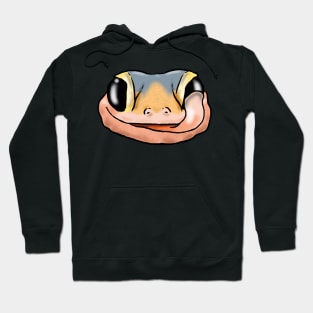 Smiling Leopard Gecko, Cute Gecko Face, Gecko Lover Hoodie